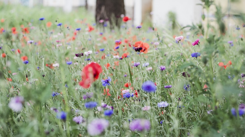 PLANIRATE IZLET ILI PUTOVANJE? EVO KAKVO NAS VRIJEME ČEKA ZA 1. MAJ